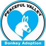 adoption logo 2026 copy