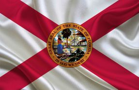florida flag copy