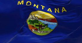 montana flag copy