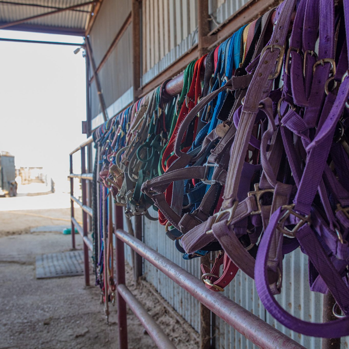 The Importance of Continued Training