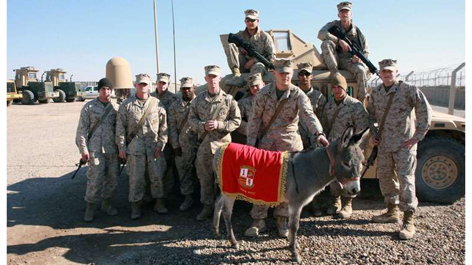 Smoke the Donkey was a beloved mascot and therapy animal to the 1st Marine Logistics Group during the Iraq War. The Iraqi donkey was rescued in 2008 and was brought to Camp Taqaddum, where he remained a popular morale booster until the Marines left in 2009. Col. John Folsom, the then commandant for Taqaddum, had a close bond with Smoke and managed to bring him to the US in 2011. Smoke lived out the remainder of his days on a farm near Omaha, Nebraska, as a therapy animal. He passed away from natural causes in 2012.